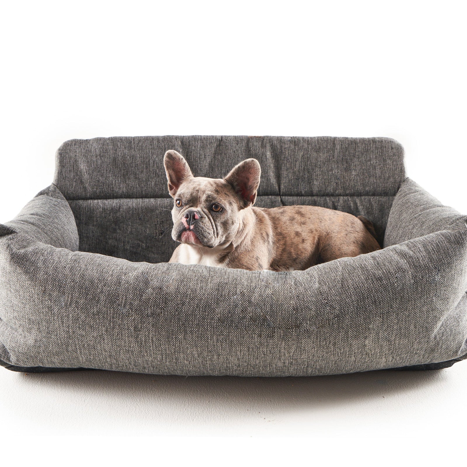 Koala Grey Travel Couch